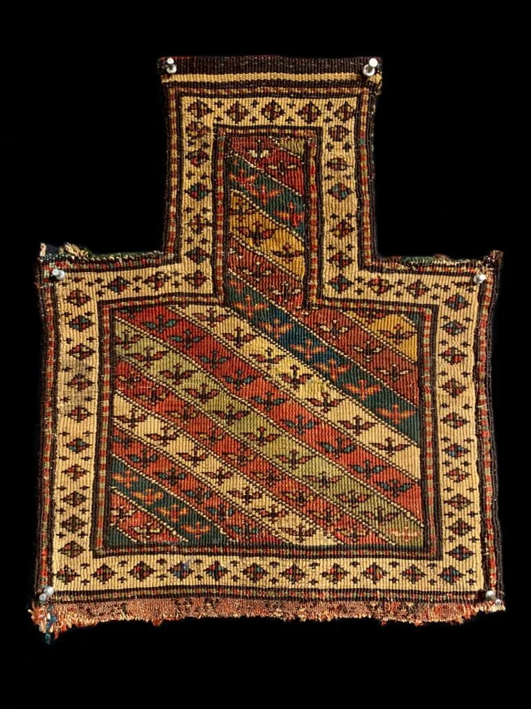 Late 19th century Reverse Sumak salt bagface